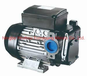 Fuel Transfer Pump 230V Electric Panther 56 AC Diesel Transfer Pump CE Certificate