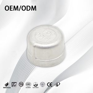 Stainless Steel High Pressure OEM Corrosion Resistant Threaded Pipe End Cap
