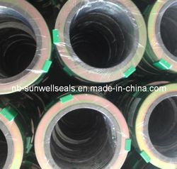 Gasket Seals Spiral Wund Gaskets Ss316 with Graphite Filler (SUNWELL)