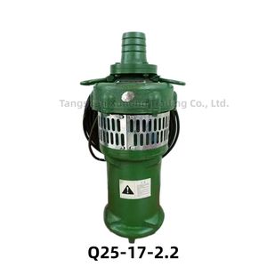 Q25-17-2.2 Submersible Pump for Farm Irrigation Drainage OEM