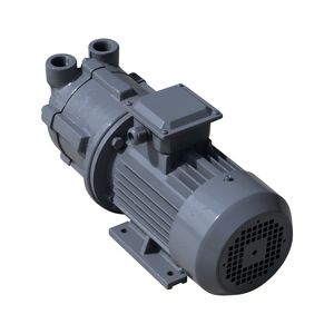 Sz Water Ring Type Vacuum Pump for Plastic and Food Machinery