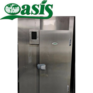 Oasis Customized Cold Room, Cold Storage, Walk-in Chiller, Freezer