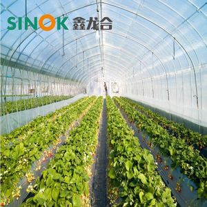High Yield Galvanized Steel Frame Tunnel Greenhouse with Durable Plastic Film Cover