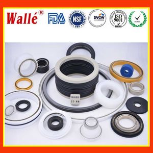 Oil and Gas Chemical Valve PTFE Spring Energized Seals
