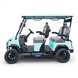 Electric Golf Cart with Customized 48V Lithium Battery - Model Box