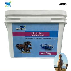 Hot Selling GMP Manufacturer Electrolyte Supplements for Horse