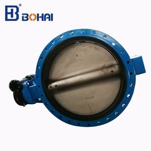 U Type Butterfly Valve with Cast Iron Material