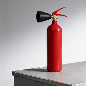 Premium ISO Certified Carbon Alloy Steel Fire Extinguisher for Ultimate Safety