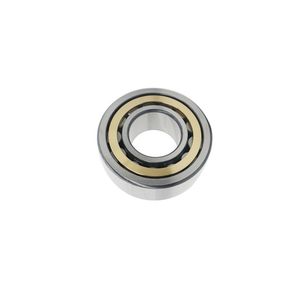 High-Quality Nj Series Cylindrical Roller Bearings for Machinery