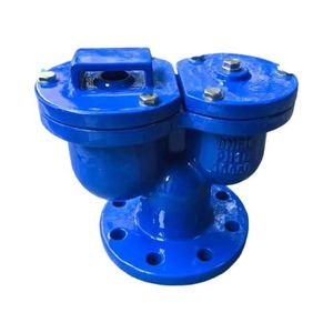 Qb2 DN50 DN200 Flange Ductile Iron Water Pipe Automatic Double Port Exhaust Valve Cast Iron Vent Valve Compound Exhaust Valve