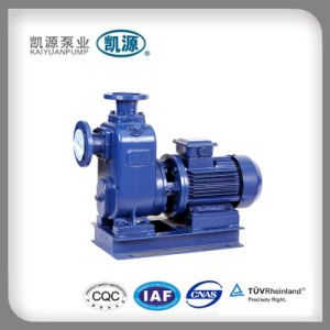 Bz Selfpriming Water Pump for Marine