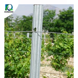 Customized Powder Coated Steel Vineyard Post Heavy Duty Open Gable Trellis End Post Hot Dipped Galvanized Grape Stake Orchard Support Plant Pole Use in Farm