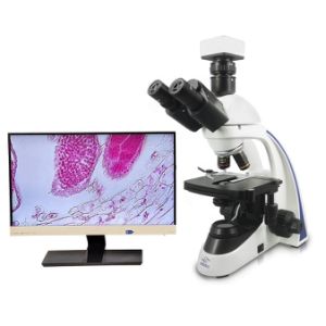 Boshida Bd-Sw1001t 40X-1600X Trinocular Compound Medical Research Biological Microscope with Digital Camera