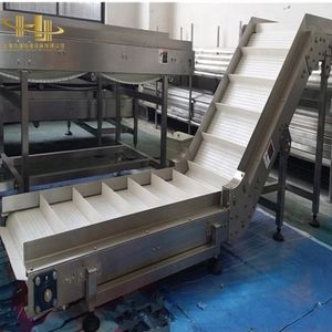 Customized Z Type Modular Plastic Belt Conveyor with Inclined Lifting Design for Food Handling and Packaging Line
