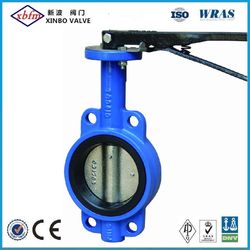 OEM/ODM Factory Wafer Type Centreline Butterfly Valve (without Pin)