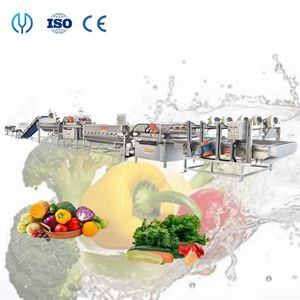 Advanced Fruit and Vegetable Washing and Grinding Machine