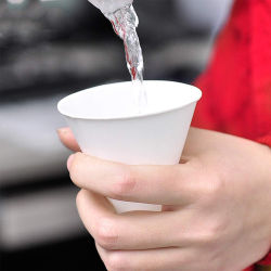 Disposable Cone Paper Cup Paper Cones for Water Drink