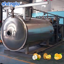 Continuous Fruit Freeze Drying Equipment for Cordyceps Protein Powder Berry Vegetable Freeze Dried with PLC Controlled