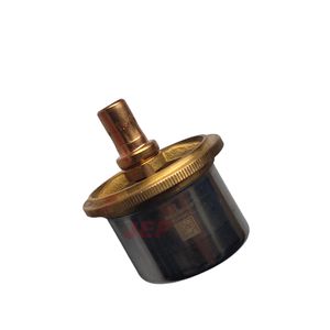 High-Quality Qsk38 Qsk45 Qsk50 Qsk60 Diesel Engines for Construction Machinery Thermostat 3651379 4065566 4000854