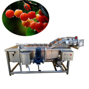 Air Bubble Strawberry Washing Machine Leafy Vegetable Washing Machine