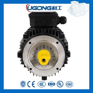 Ye4-80m1-2 0.75kw 1HP 2870rpm Ye4 Super Premium Efficiency Motor for Pumps