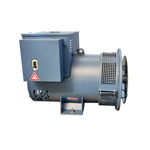 400V Electric Generator with High Power Factor and Alternator