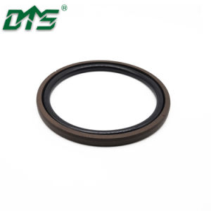 Brown Color Bronze PTFE Cylinder Seals Double Acting Piston Seals Spgo D Rings