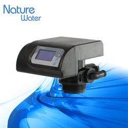 2t Automatic Filter Valve