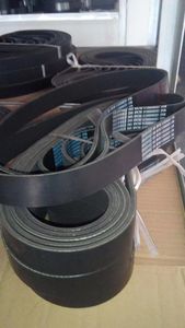 Engine Drive Belt for Mobile Cranes