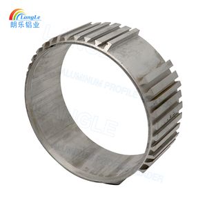 Aluminum Alloy 6063 Customized Model Anodized Aluminum Extrusion Profile