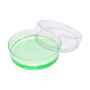 Pd-10060 60mm Round Sterile Plastic Petri Dish for Laboratory