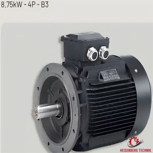 Hoyer Electric Motors Hma2 132m1 4p B3 Ie2/4pol Marine-2104132-7.50-010201