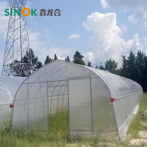 Commercial Plastic Film Agricultural Single Span Tunnel Greenhouse
