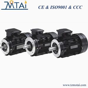 Low Speed Cast Iron Single Phase AC Asynchronous Industrial Induction Electric Motor