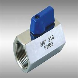 Stainless Steel Pn63 Female Thread Mini Ball Valve for Beer and Food