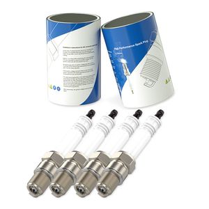 Good Rb77wpcc/Kb77wpcc/Fb77wpcc Replace Jenbacher 7306 7301 730 Part Iridium Spark Plugs
