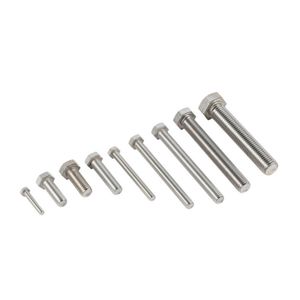 Rust-Resistant Customizable Stainless Steel Hex Bolt for Automobile Manufacturing