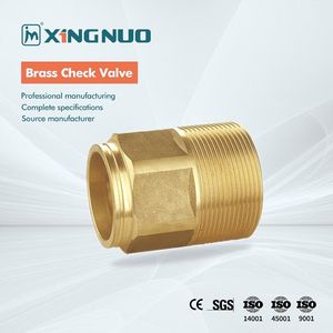 Economical Standard Custom Brass Check Valve for Irrigation
