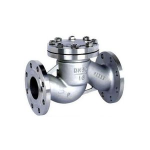 Premium Stainless Steel Non-Return Valve for Efficient Flow Control