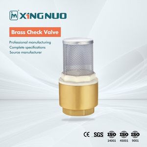 High-Pressure Reinforced Custom Brass Check Valve for Steam Lines