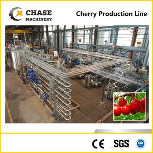 Automatic Date/Apricot Juice Concentrate Processing Line From Shanghai Chase