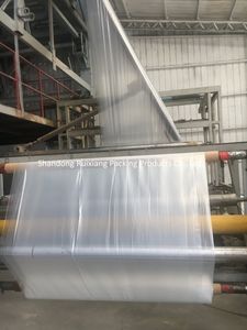 Made in China High Quality Plastic Shed Film PE Film Agricultural Greenhouse