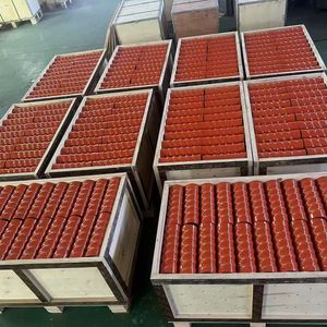 Screw Pump Rubber Stator and Rotor for Plastering Machine Parts