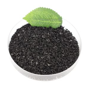 Food Grade Wood Activated Carbon for Water Purification