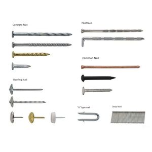 Manufacturer Hardware Stainless Steel Carbon Steel Galvanized Iron Concrete Common Nails Foot Nail
