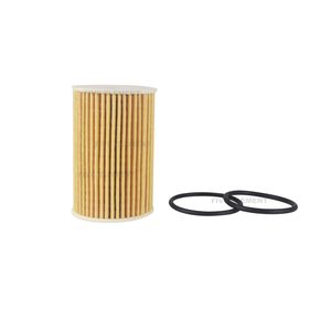 Auto Parts Oil Filter 12-1789 0454822 0451848 for Polaris Msx 150/Msw 110/700 Iq Fs/Fst