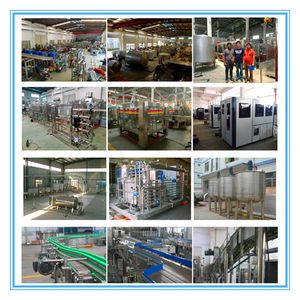 1000L/H Reverse Osmosis Drinking Water Filter Purifier Purification Plant Machine
