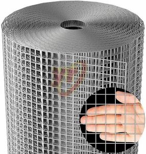 Durable Quality 15mm 20mm Galvanized Welded Wire Mesh for Wall Plastering Using