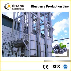 Full Automatic Complete Blueberry Fruit Juice Processing Production Line