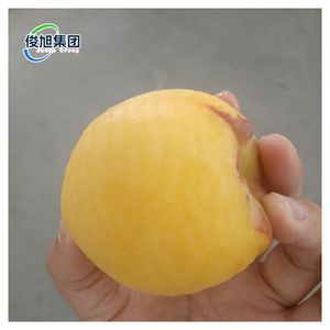 Fully Automatic Dual-Station Fruit Peeling Machine Pitting and Segmenting Processing Equipment